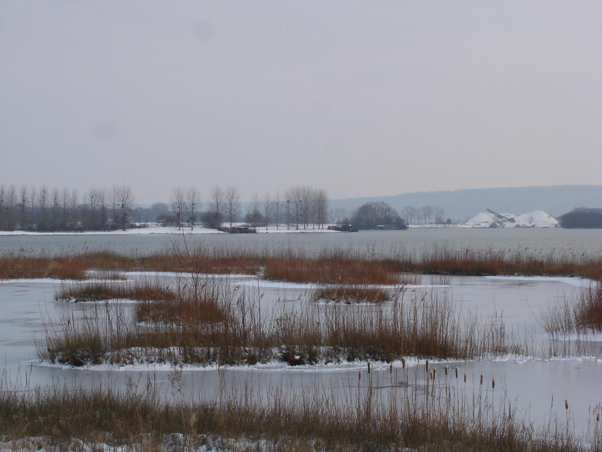 Chambres D'Hotes Au Temps Des Cerises Jumièges Exterior foto
